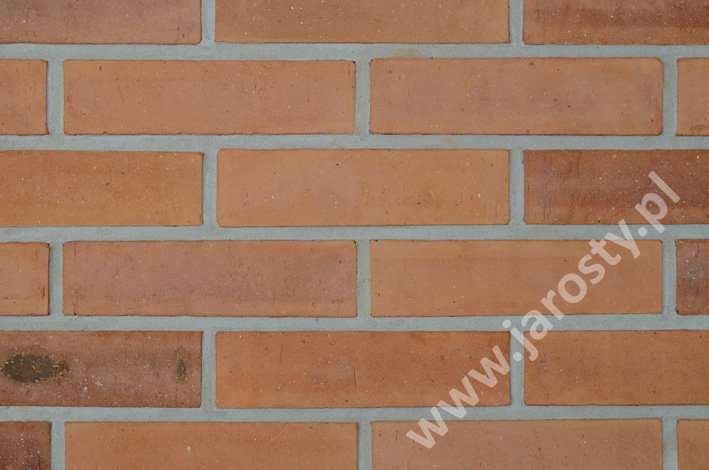 Fábrica de ladrillos en Polonia cerámica en bruto frente a ladrillos de fachada quemadores de carbón