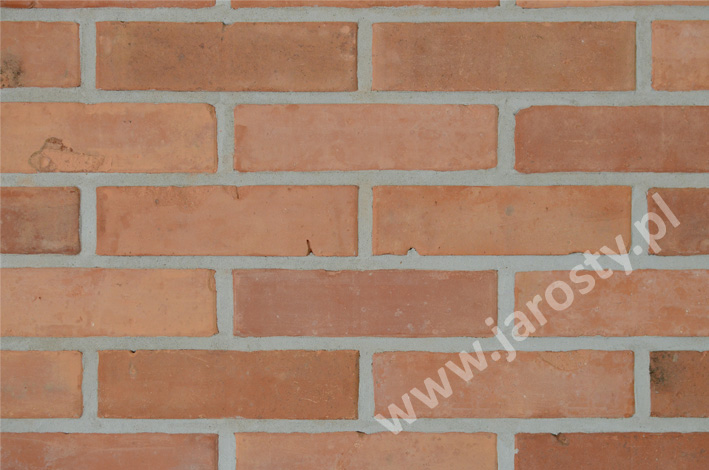 Fábrica de ladrillos en Polonia cerámica en bruto frente a ladrillos de fachada quemadores de carbón