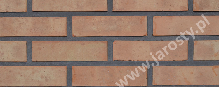 Fábrica de ladrillos en Polonia cerámica en bruto frente a ladrillos de fachada quemadores de carbón